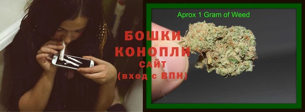МДПВ Кодинск