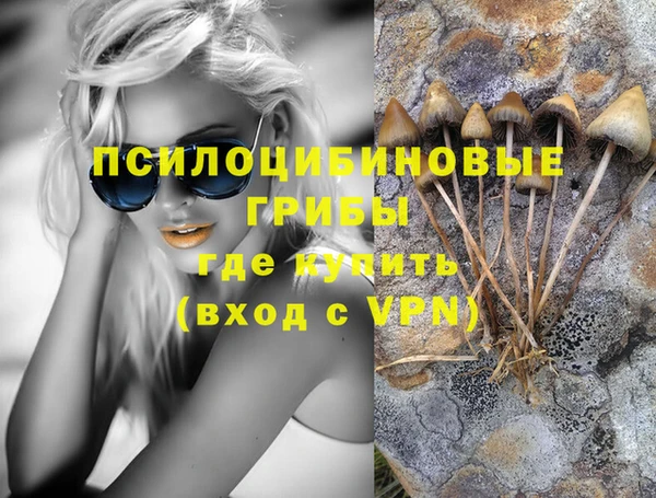 МДПВ Кодинск